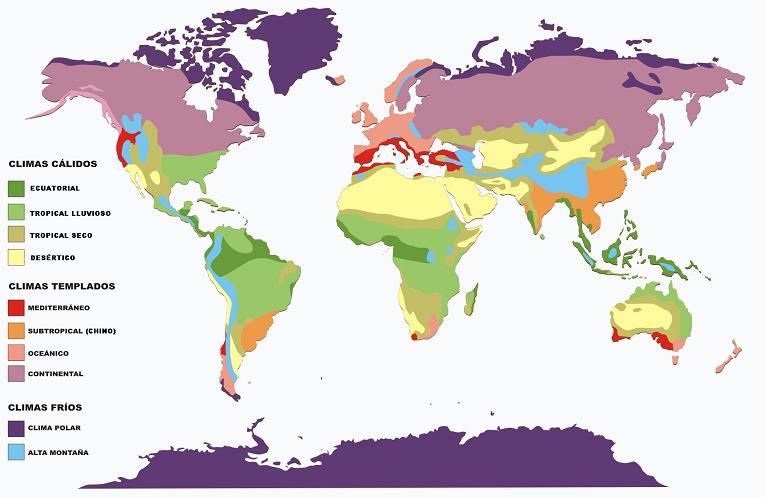 mapa climatico mundial
